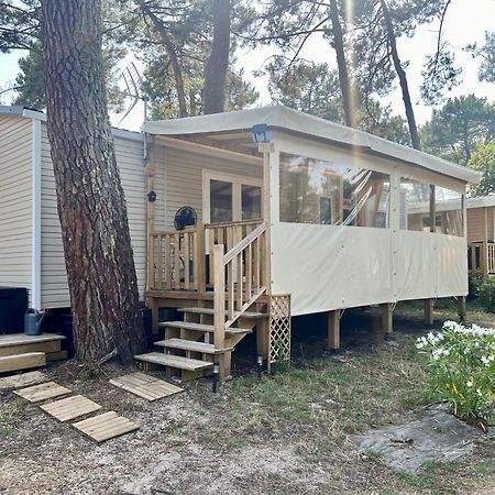 La Cabane Des Pins Lège-Cap-Ferret Exterior foto